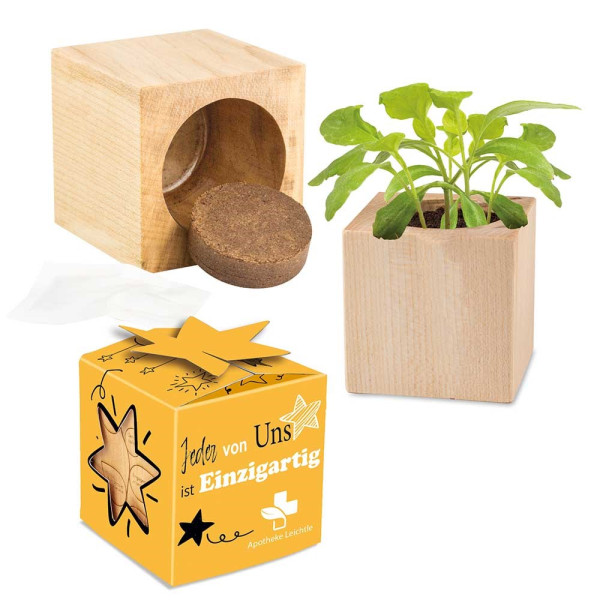 Pflanz-Holz Star-Box mit Samen